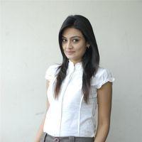 Nikita Narayan at It's My Love Story Movie Preemeet - Pictures | Picture 116422
